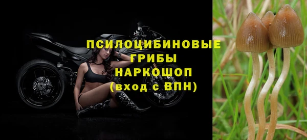 гашик Абинск