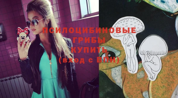 СК Алексин