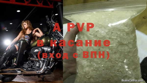 стаф Абаза