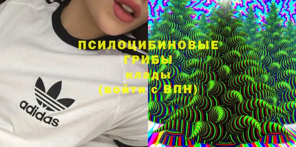 стаф Абаза