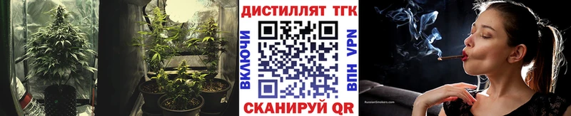 закладки  Вышний Волочёк  Дистиллят ТГК вейп с тгк 