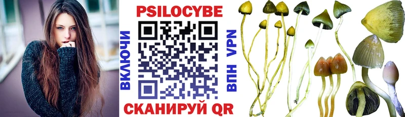 Псилоцибиновые грибы ЛСД блэк спрут tor Вышний Волочёк